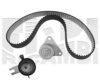 CALIBER 0460KV Timing Belt Kit